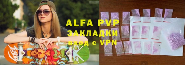 шишки Надым