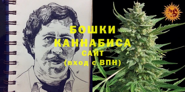 ГАЛЛЮЦИНОГЕННЫЕ ГРИБЫ Навашино