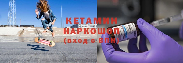 шишки Надым