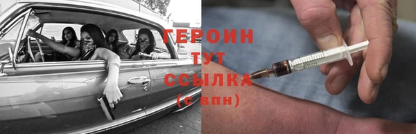 шишки Надым