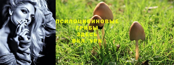 шишки Надым