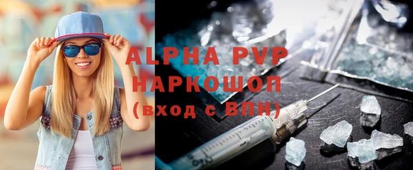 шишки Надым