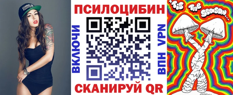 купить наркоту  Кемерово  даркнет клад  Псилоцибиновые грибы Cubensis 